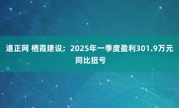 道正网 栖霞建设：2025年一季度盈利301.9万元 同比扭亏