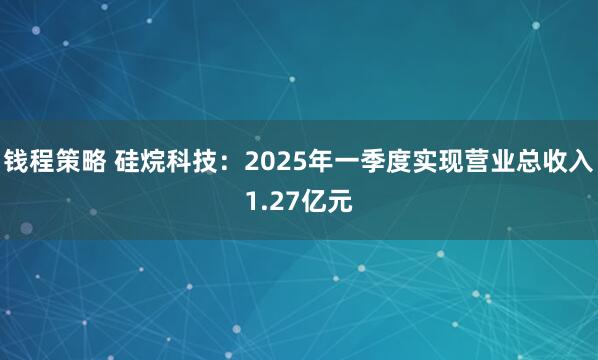 钱程策略 硅烷科技：2025年一季度实现营业总收入1.27亿元