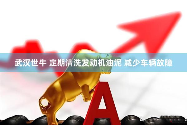 武汉世牛 定期清洗发动机油泥 减少车辆故障